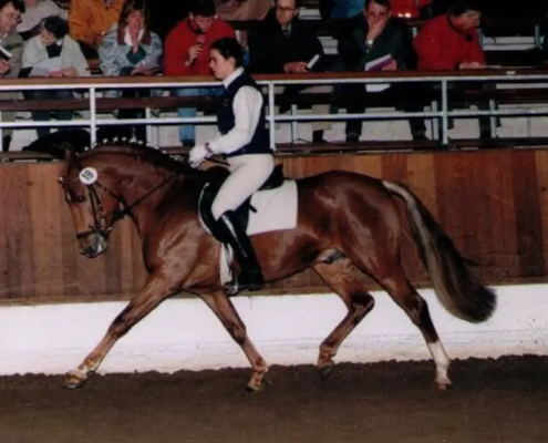 Reitstall Historie